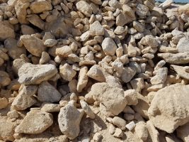 1-3 Ft Coquina Boulders